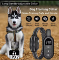 Collier GPS pour Chien - Suivi en Temps Réel