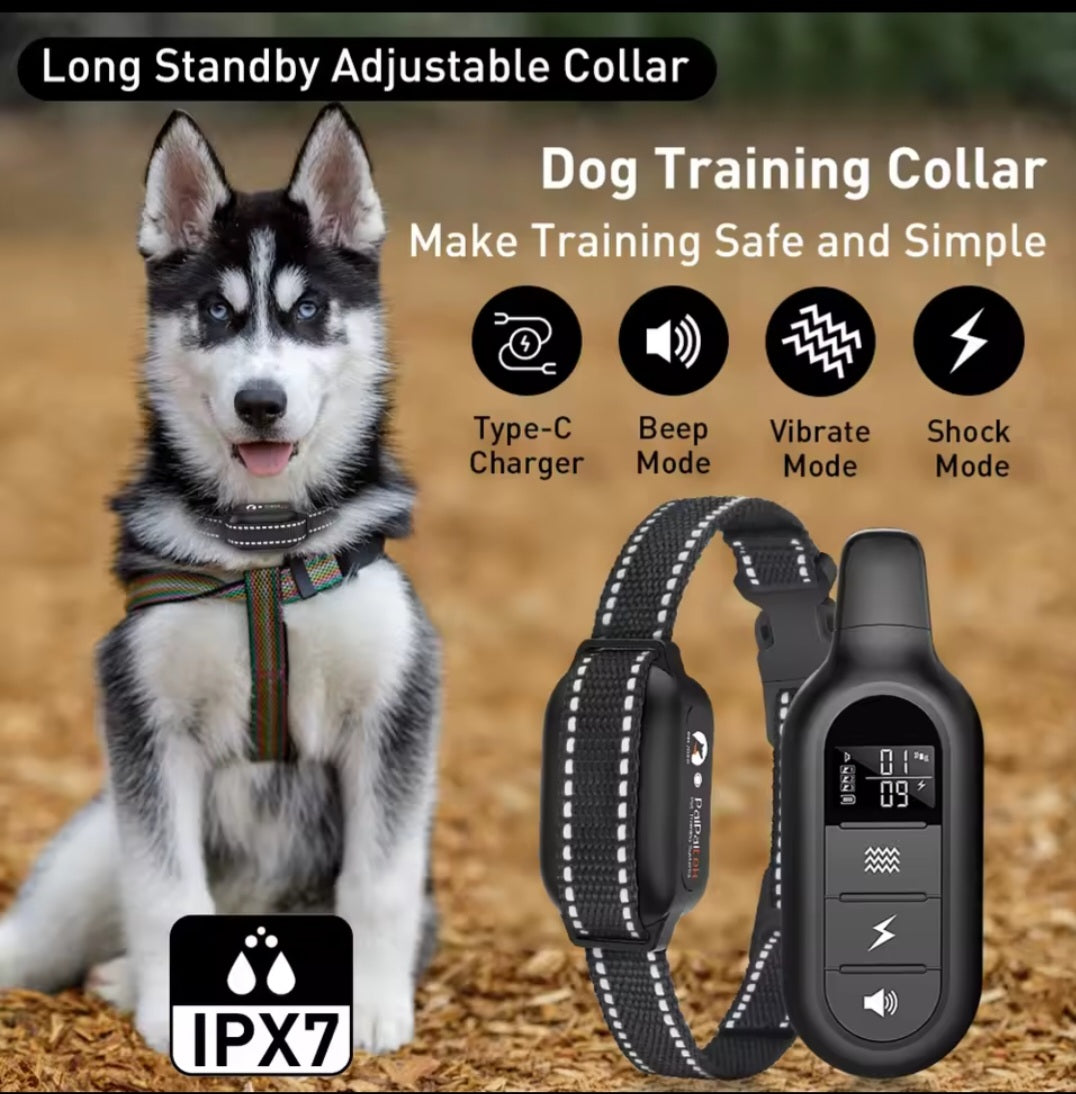 Collier GPS pour Chien - Suivi en Temps Réel