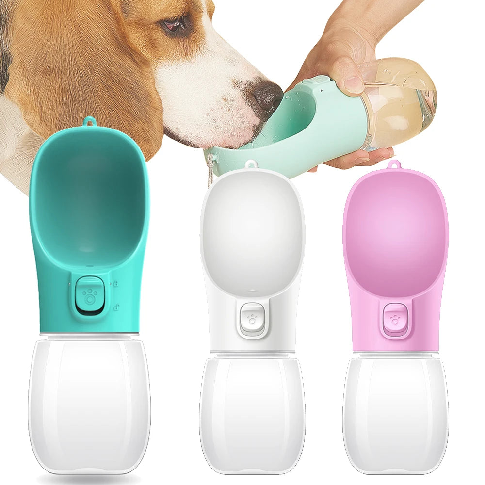 Gourde Portable pour Chien et Chat - Bol d'Eau Anti-Fuite pour Balades
