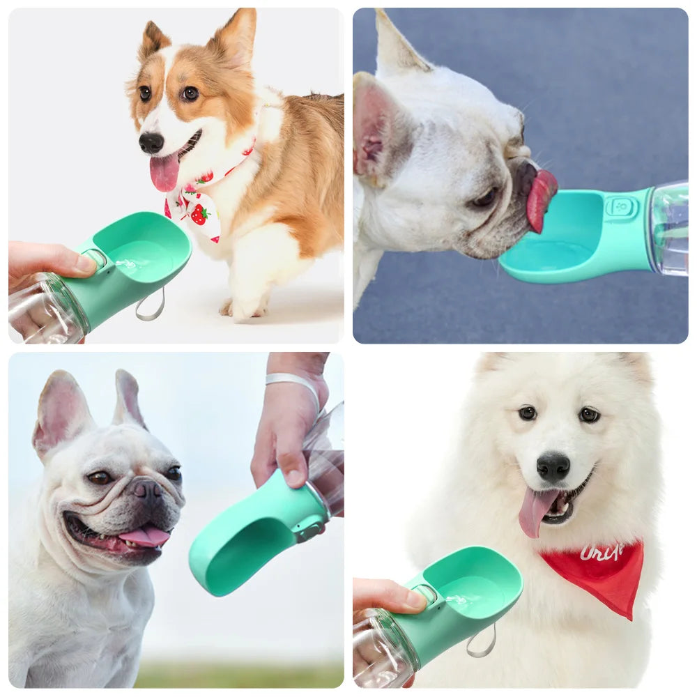 Gourde Portable pour Chien et Chat - Bol d'Eau Anti-Fuite pour Balades
