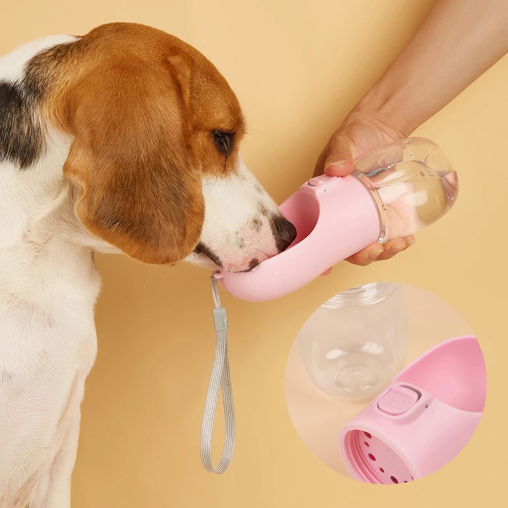 Gourde pour Chien - Distributeur d'Eau Portable pour Voyage en Extérieur