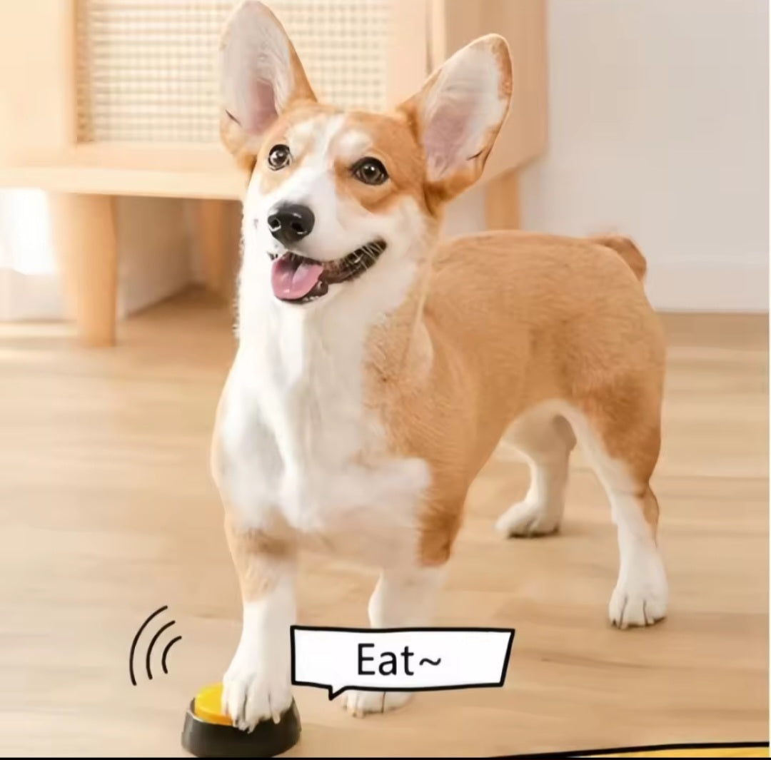 Boutons de Communication pour chiens, 8 pièces, bouton d'enregistrement vocal pour animaux de compagnie.